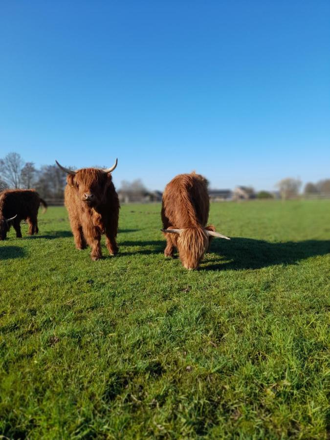 Hannekenbuurs Kleine Kune Kune Farm Daire Weeze Dış mekan fotoğraf